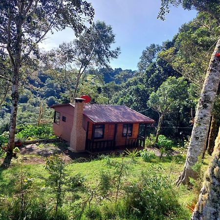 Las Bromelias Lodge Paso Macho Экстерьер фото