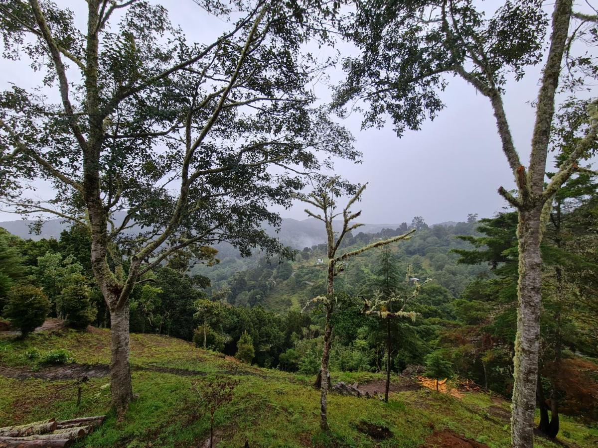 Las Bromelias Lodge Paso Macho Экстерьер фото
