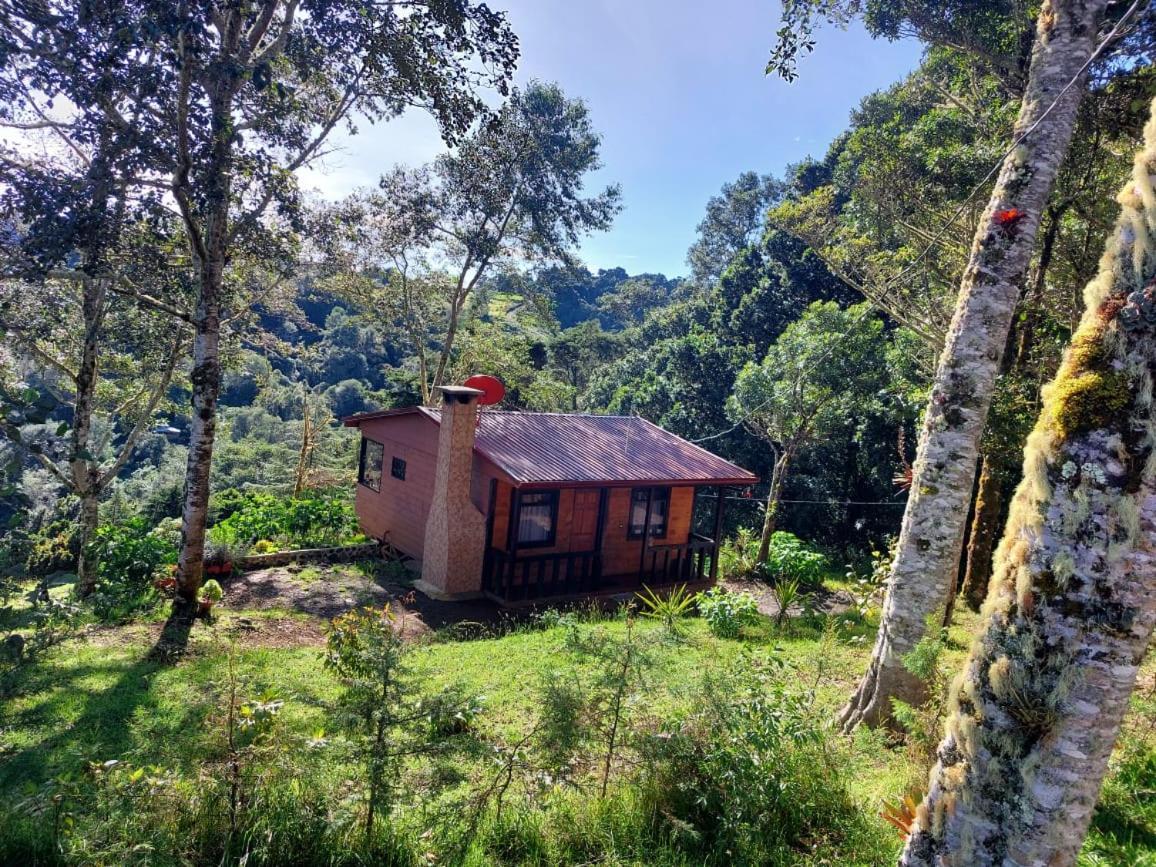 Las Bromelias Lodge Paso Macho Экстерьер фото